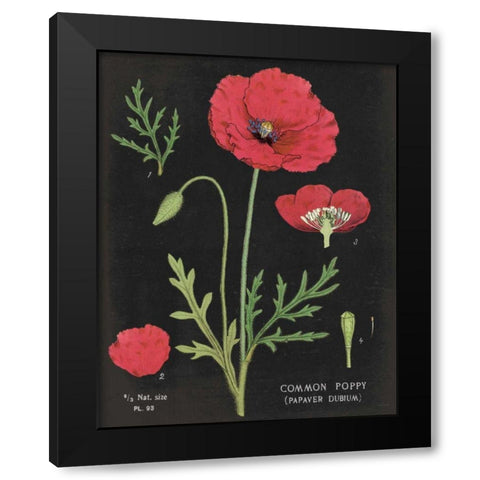 Poppy Chart Black Modern Wood Framed Art Print by Schlabach, Sue