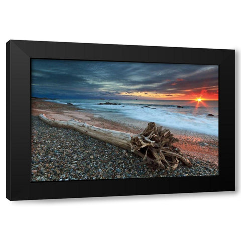 Sakonnet Driftwood Black Modern Wood Framed Art Print by Gendreau, Katherine