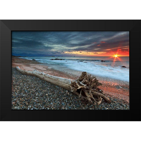 Sakonnet Driftwood Black Modern Wood Framed Art Print by Gendreau, Katherine