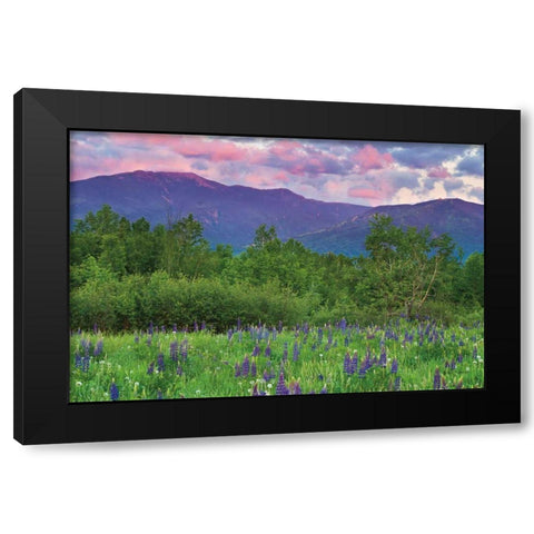 Layer Cake Black Modern Wood Framed Art Print with Double Matting by Gendreau, Katherine