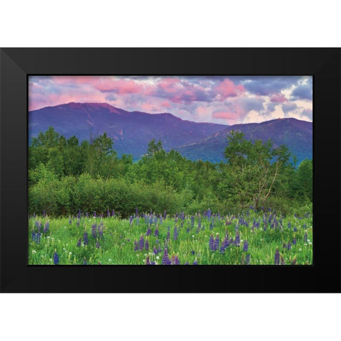 Layer Cake Black Modern Wood Framed Art Print by Gendreau, Katherine