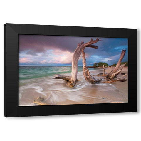 Driftwood Sunset Black Modern Wood Framed Art Print with Double Matting by Gendreau, Katherine