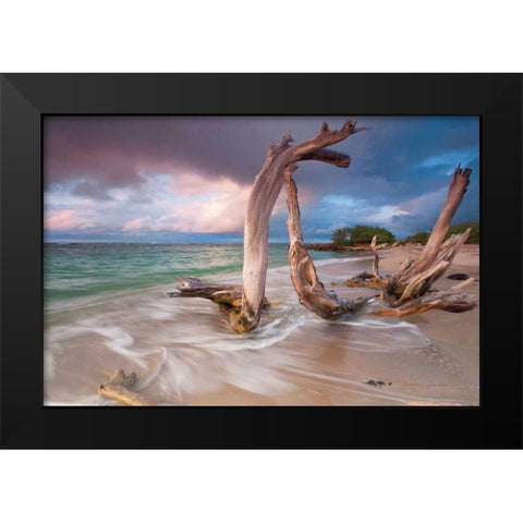 Driftwood Sunset Black Modern Wood Framed Art Print by Gendreau, Katherine