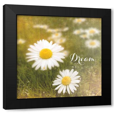 Daisy Dreams  Black Modern Wood Framed Art Print by Schlabach, Sue