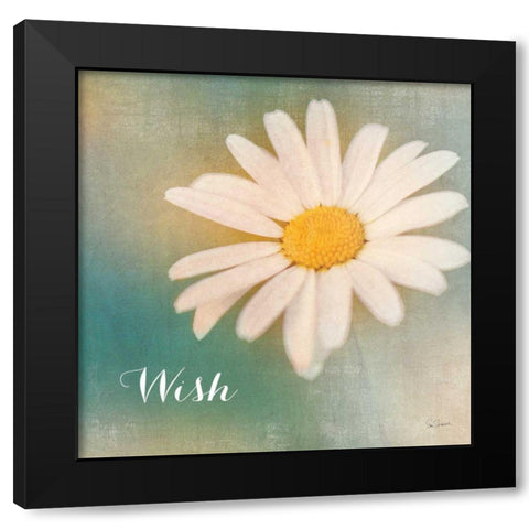 Daisy Wishes  Black Modern Wood Framed Art Print by Schlabach, Sue