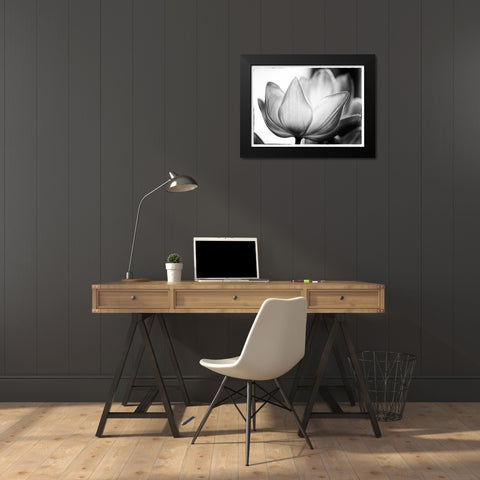 Translucent Tulips VI Black Modern Wood Framed Art Print by Van Swearingen, Debra