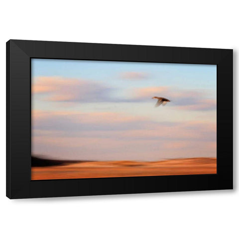 Flight Black Modern Wood Framed Art Print with Double Matting by Gendreau, Katherine