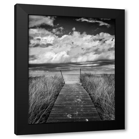 Oak Bluffs Beach Path Crop Black Modern Wood Framed Art Print with Double Matting by Gendreau, Katherine