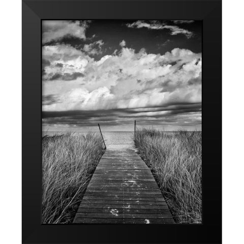 Oak Bluffs Beach Path Crop Black Modern Wood Framed Art Print by Gendreau, Katherine