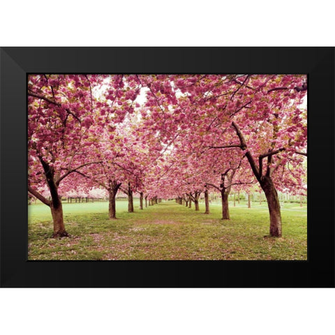 Hall of Cherries Black Modern Wood Framed Art Print by Gendreau, Katherine
