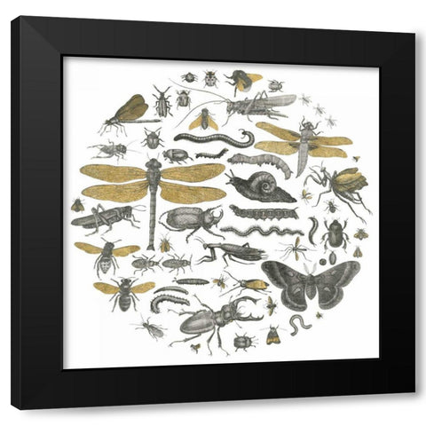 Insect Circle I Black Modern Wood Framed Art Print by Wild Apple Portfolio