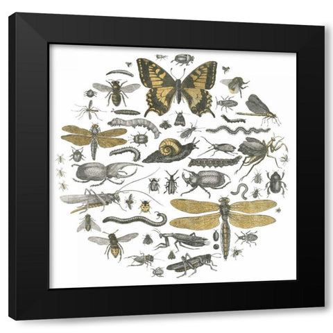 Insect Circle II Black Modern Wood Framed Art Print by Wild Apple Portfolio