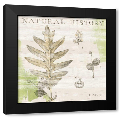 Natural History Oak I Black Modern Wood Framed Art Print with Double Matting by Schlabach, Sue