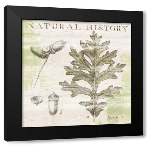 Natural History Oak II Black Modern Wood Framed Art Print by Schlabach, Sue