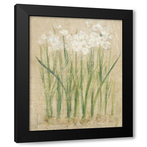 Narcissus Cool Black Modern Wood Framed Art Print with Double Matting by Blum, Cheri
