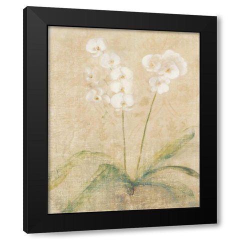 Orchid Cool Black Modern Wood Framed Art Print by Blum, Cheri
