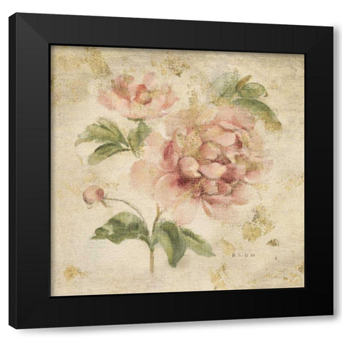 Coral Rose on Antique Linen Light Gold Black Modern Wood Framed Art Print with Double Matting by Blum, Cheri