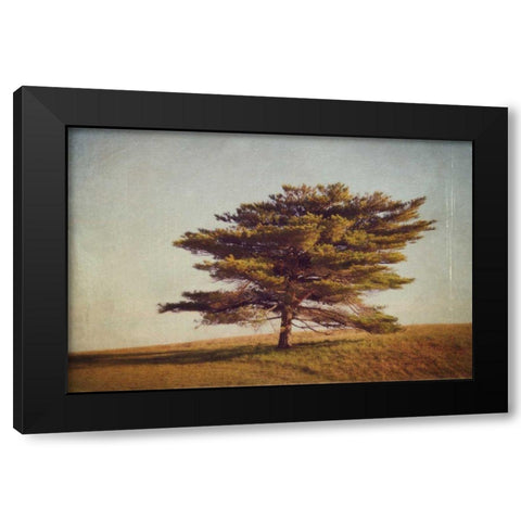 Windward Tree Black Modern Wood Framed Art Print by Gendreau, Katherine