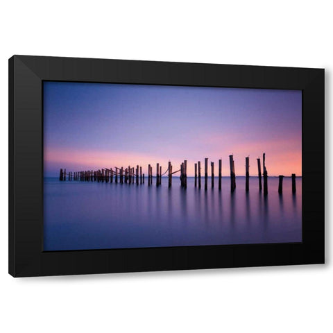 Still Color Black Modern Wood Framed Art Print by Gendreau, Katherine