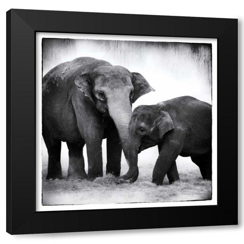 Elephant III Black Modern Wood Framed Art Print with Double Matting by Van Swearingen, Debra
