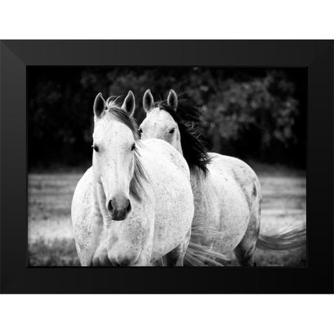 Two Wild Horses BW Black Modern Wood Framed Art Print by Van Swearingen, Debra