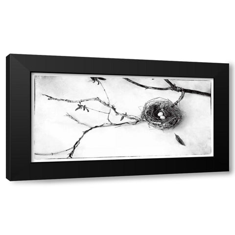 Nest and Branch II Black Modern Wood Framed Art Print with Double Matting by Van Swearingen, Debra