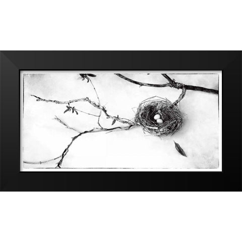 Nest and Branch II Black Modern Wood Framed Art Print by Van Swearingen, Debra