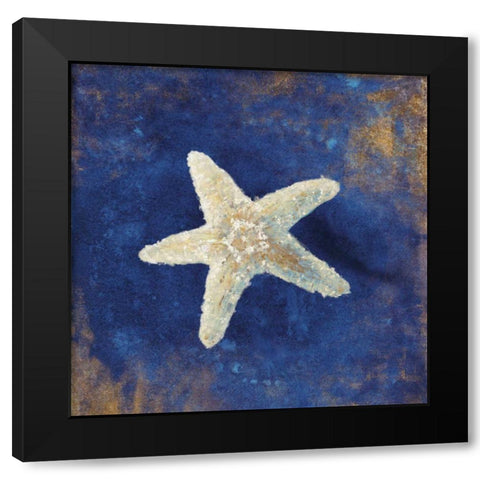 Treasures of the Sea Indigo IV Black Modern Wood Framed Art Print with Double Matting by Nai, Danhui