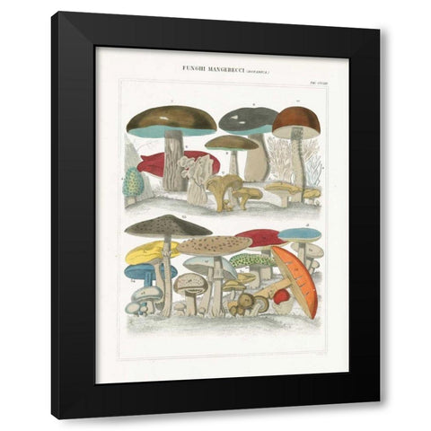 Funghi Italiani I Black Modern Wood Framed Art Print by Wild Apple Portfolio