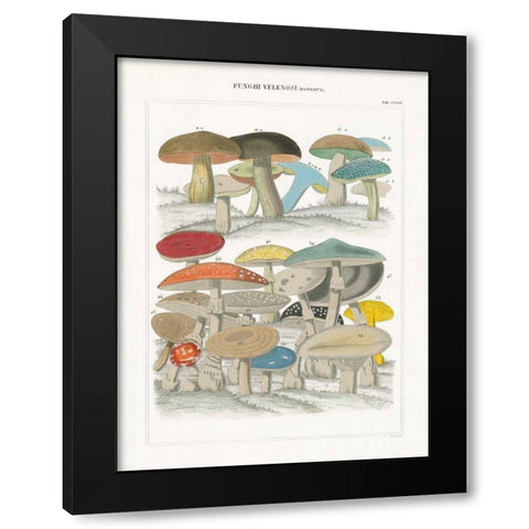 Funghi Italiani II Black Modern Wood Framed Art Print by Wild Apple Portfolio