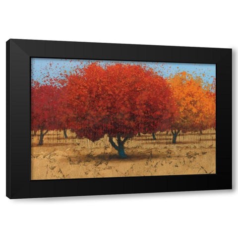 Orange Trees II Black Modern Wood Framed Art Print by Wiens, James