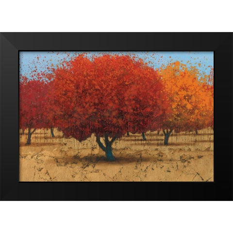 Orange Trees II Black Modern Wood Framed Art Print by Wiens, James