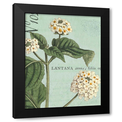 Botanique Bleu I Black Modern Wood Framed Art Print by Wild Apple Portfolio