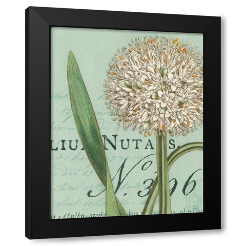 Botanique Bleu II Black Modern Wood Framed Art Print by Wild Apple Portfolio