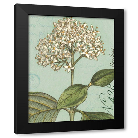 Botanique Bleu IV Black Modern Wood Framed Art Print by Wild Apple Portfolio