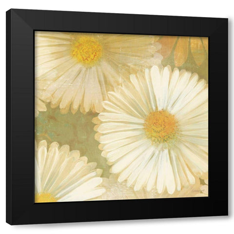 Daisy Story Square I Black Modern Wood Framed Art Print with Double Matting by Lovell, Kathrine