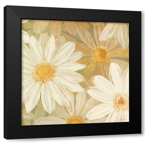 Daisy Story Square II Black Modern Wood Framed Art Print with Double Matting by Lovell, Kathrine
