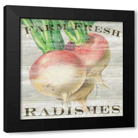 Farm Fresh Radishes Black Modern Wood Framed Art Print with Double Matting by Schlabach, Sue