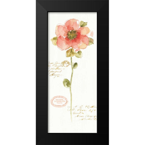 Rainbow Seeds Loose Floral IV Black Modern Wood Framed Art Print by Audit, Lisa
