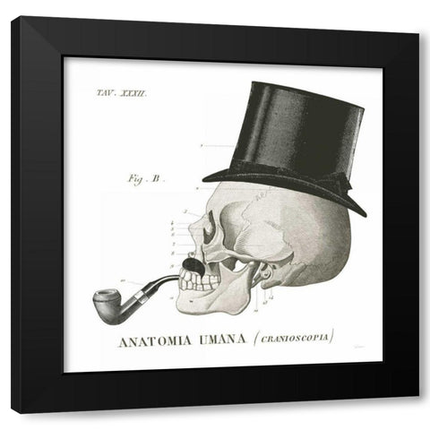 Dandy Bones II Black Modern Wood Framed Art Print with Double Matting by Schlabach, Sue