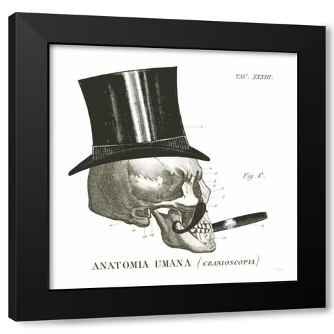 Dandy Bones III Black Modern Wood Framed Art Print with Double Matting by Schlabach, Sue