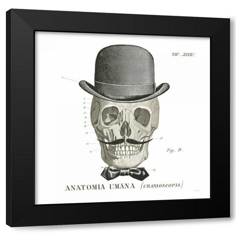 Dandy Bones IV Black Modern Wood Framed Art Print with Double Matting by Schlabach, Sue