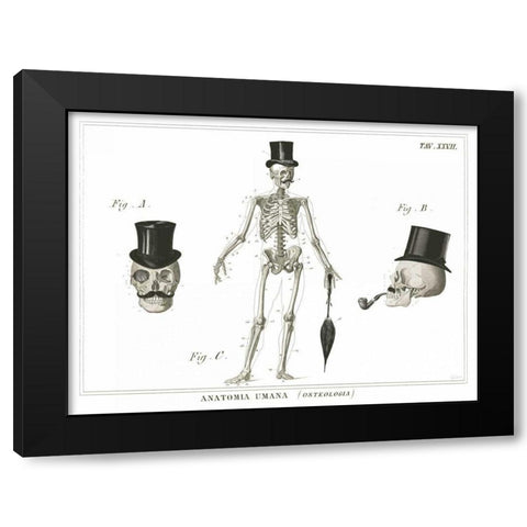 Dandy Bones Black Modern Wood Framed Art Print with Double Matting by Schlabach, Sue