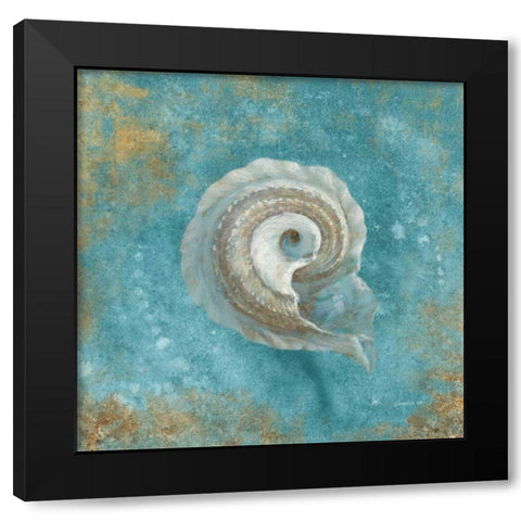 Treasures from the Sea III Aqua  Black Modern Wood Framed Art Print with Double Matting by Nai, Danhui