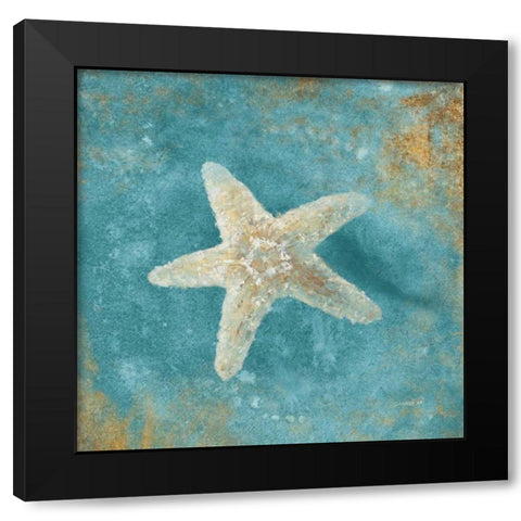 Treasures from the Sea IV Aqua  Black Modern Wood Framed Art Print with Double Matting by Nai, Danhui