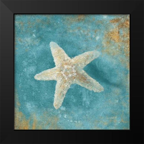 Treasures from the Sea IV Aqua  Black Modern Wood Framed Art Print by Nai, Danhui