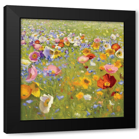 Champ de Fleur I  Black Modern Wood Framed Art Print with Double Matting by Novak, Shirley