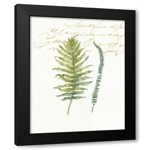 My Greenhouse Fern I Black Modern Wood Framed Art Print by Audit, Lisa