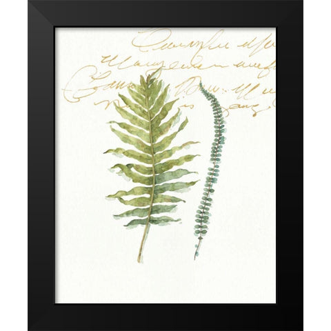 My Greenhouse Fern I Black Modern Wood Framed Art Print by Audit, Lisa
