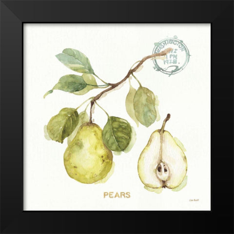 My Greenhouse Fruit I Black Modern Wood Framed Art Print by Audit, Lisa